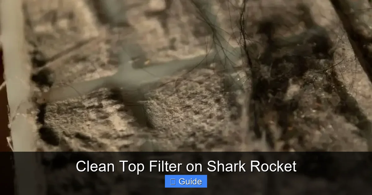 Clean Top Filter on Shark Rocket