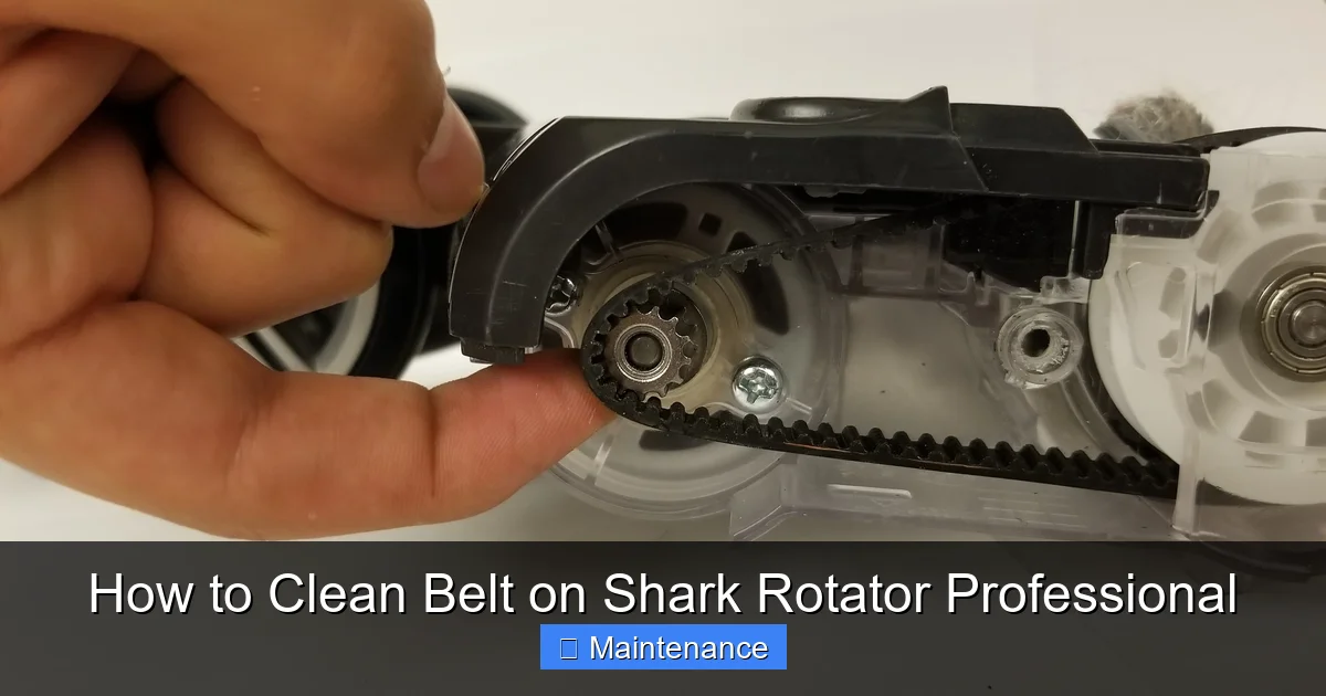 How to Clean Belt on Shark Rotator Professional