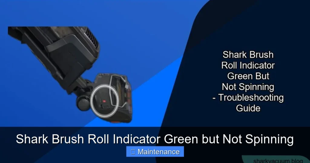 Shark Brush Roll Indicator Green but Not Spinning