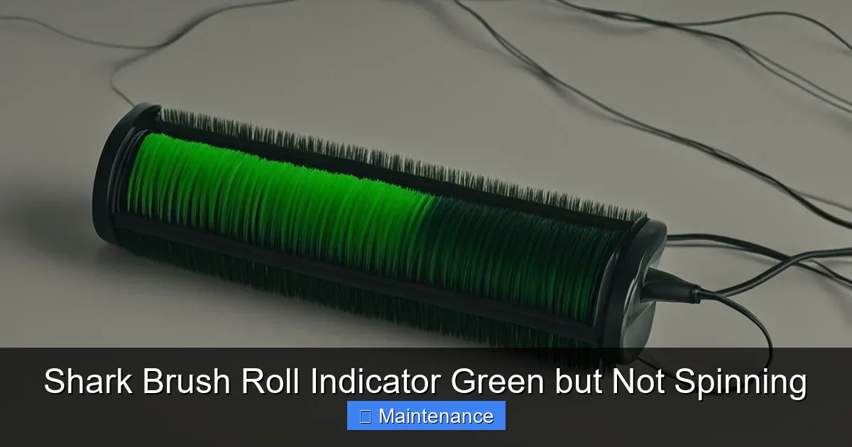 Shark Brush Roll Indicator Green but Not Spinning