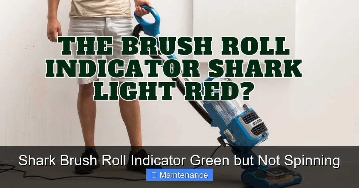 Shark Brush Roll Indicator Green but Not Spinning