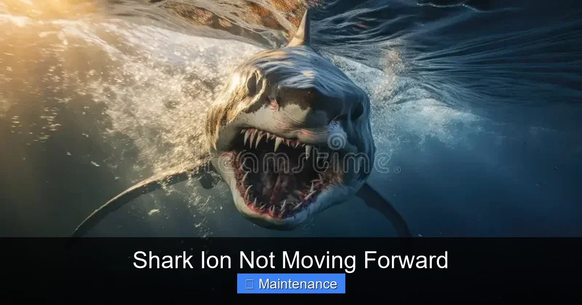 Shark Ion Not Moving Forward