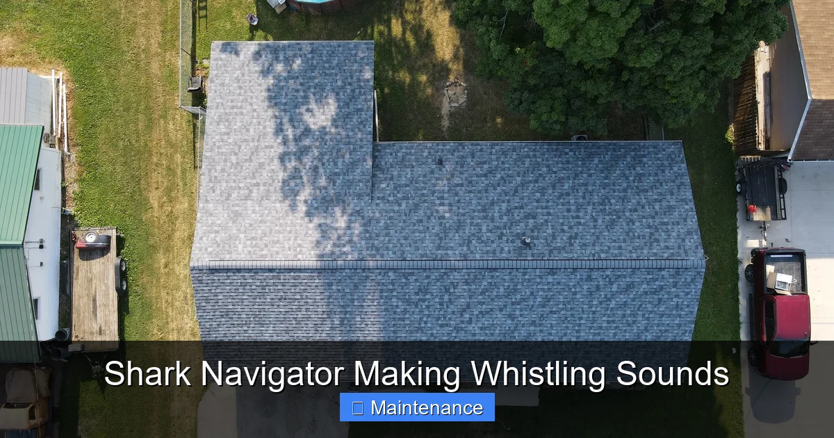 Shark Navigator Making Whistling Sounds