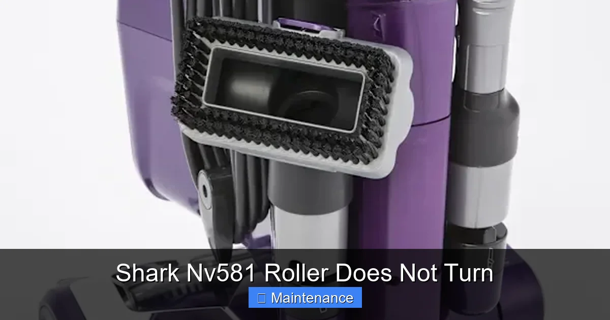 Shark Nv581 Roller Does Not Turn