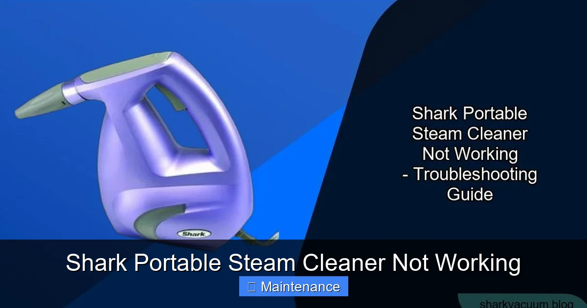 Shark Portable Steam Cleaner Not Working
