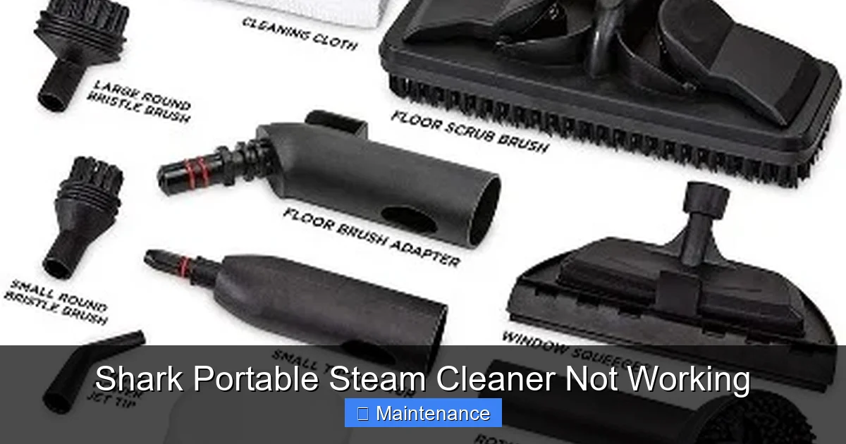 Shark Portable Steam Cleaner Not Working