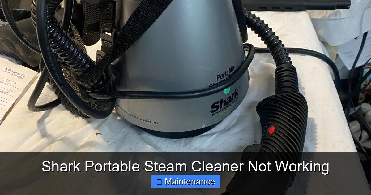 Shark Portable Steam Cleaner Not Working