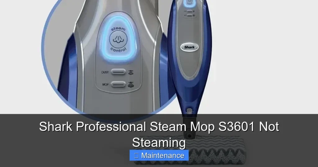 Shark Professional Steam Mop S3601 Not Steaming
