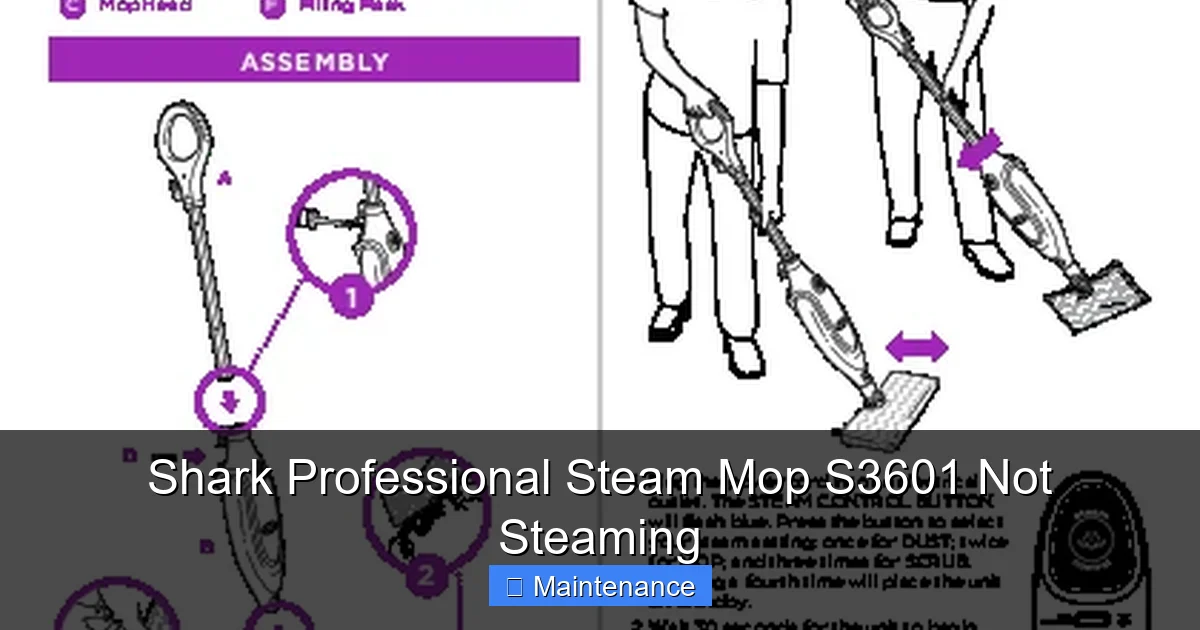 Shark Professional Steam Mop S3601 Not Steaming