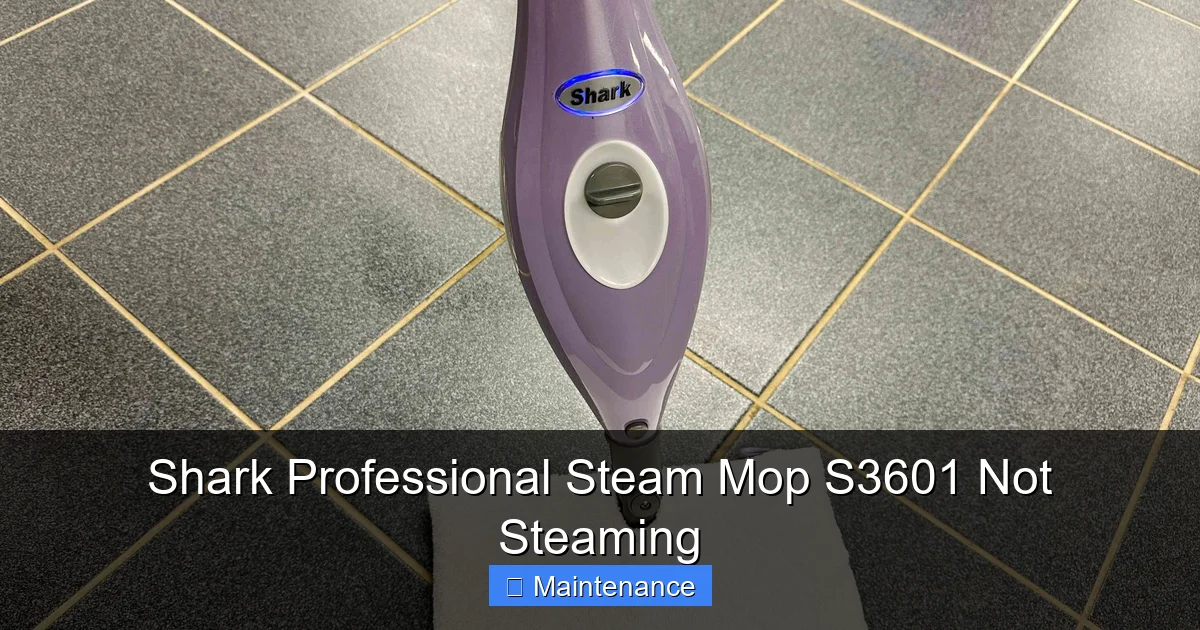 Shark Professional Steam Mop S3601 Not Steaming