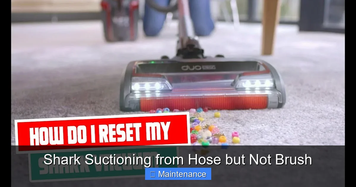 Shark Suctioning from Hose but Not Brush