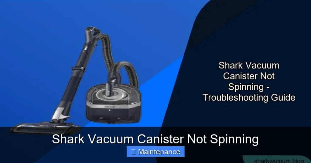 Shark Vacuum Canister Not Spinning