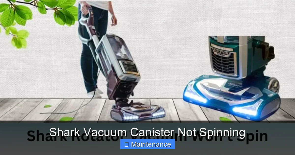 Shark Vacuum Canister Not Spinning