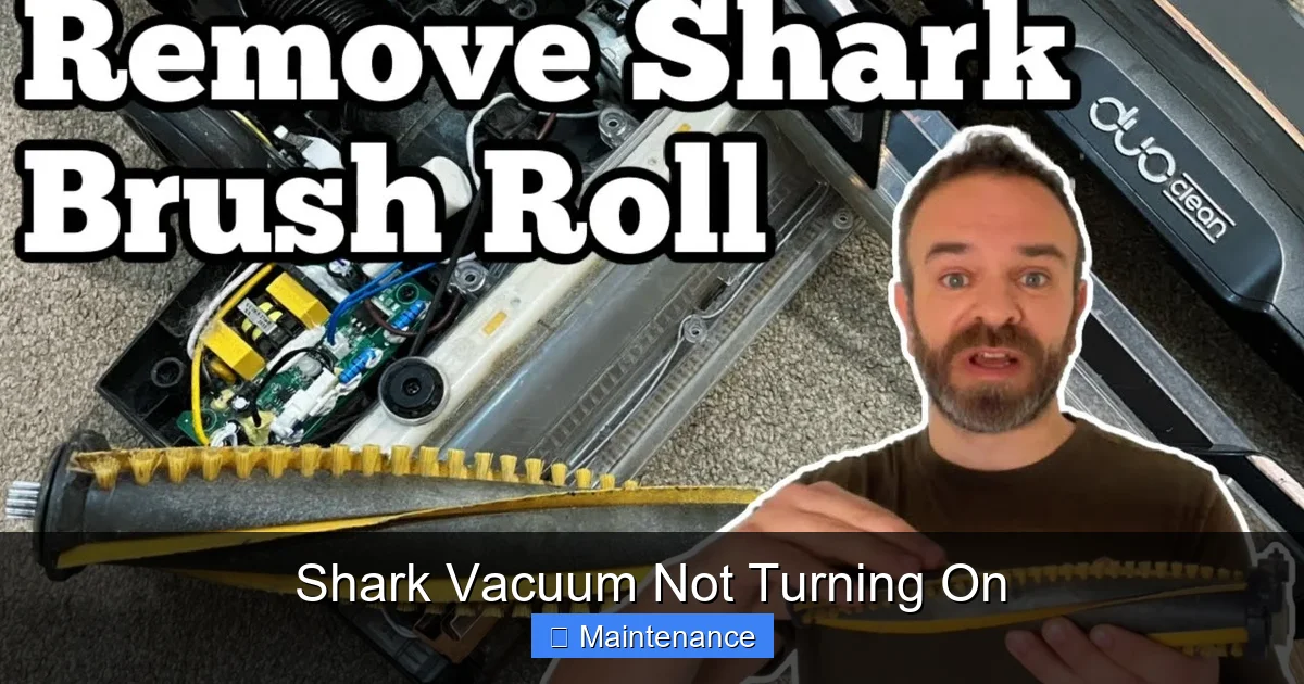 Shark Vacuum Not Turning On