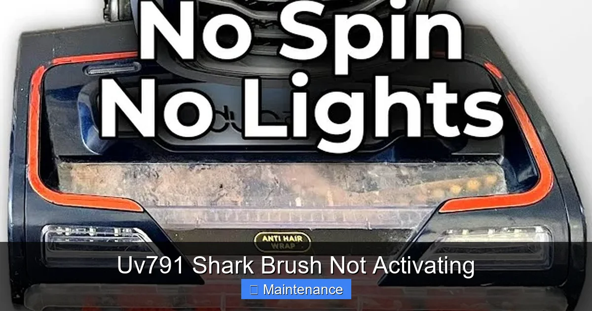 Uv791 Shark Brush Not Activating
