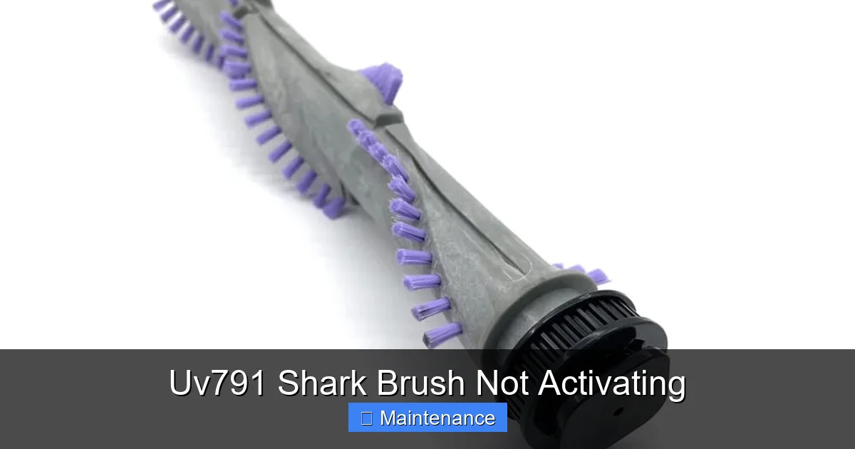 Uv791 Shark Brush Not Activating