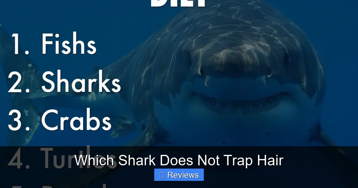 Which Shark Does Not Trap Hair