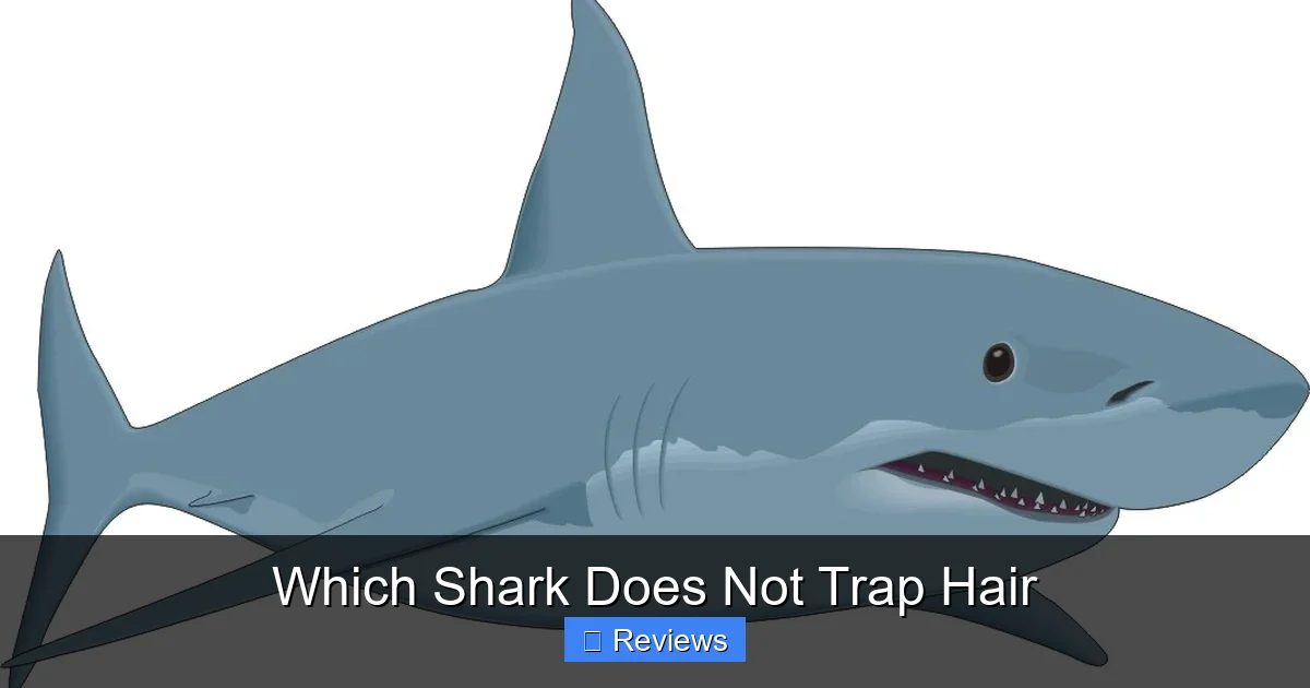 Which Shark Does Not Trap Hair