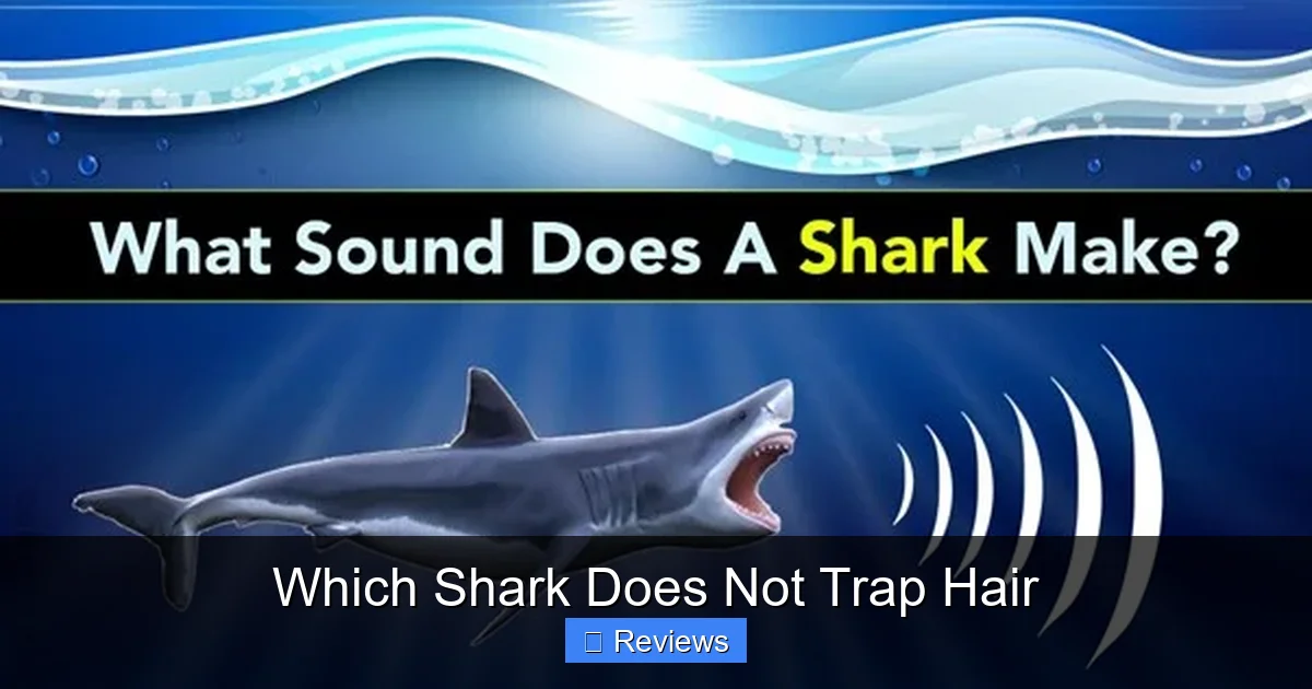Which Shark Does Not Trap Hair