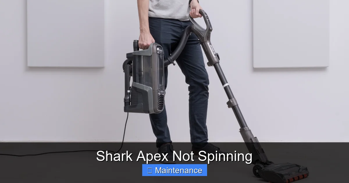 Shark Apex Not Spinning