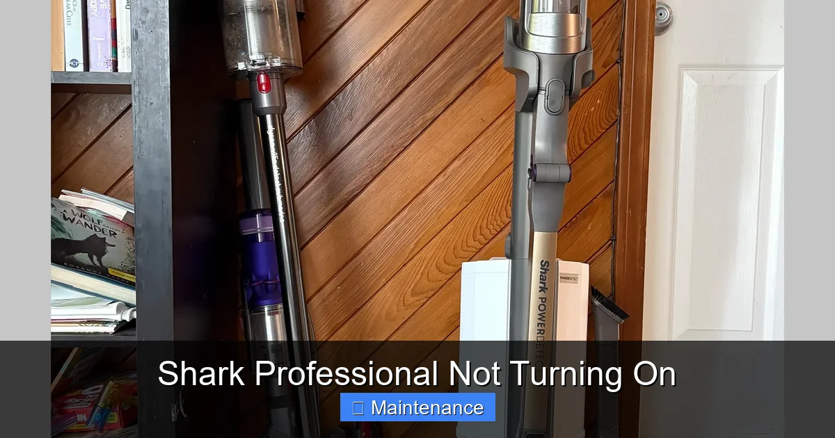 Shark Professional Not Turning On