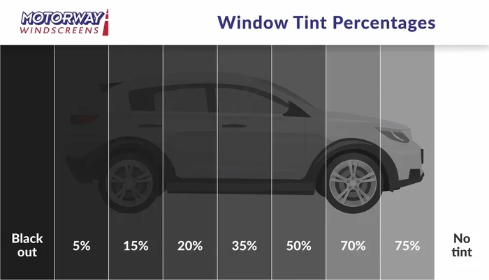 Car Window Tint % Chart