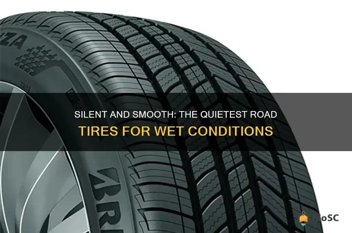 Budget Tires with Low Road Noise